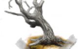 Światowy Dzień Wody